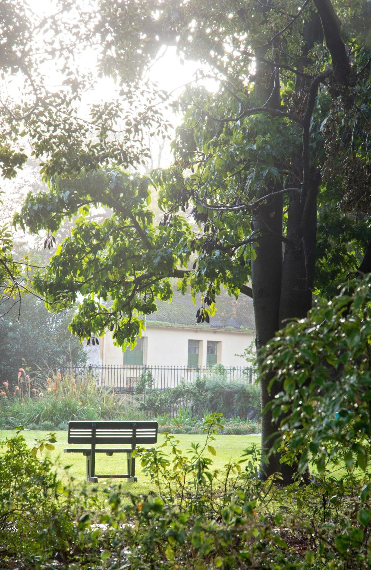 Avemore Wag N Bietjie No 1 Stellenbosch Buitenkant foto