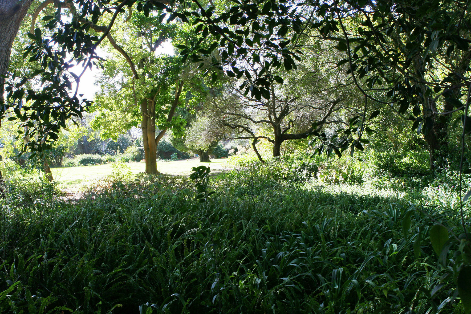 Avemore Wag N Bietjie No 1 Stellenbosch Buitenkant foto