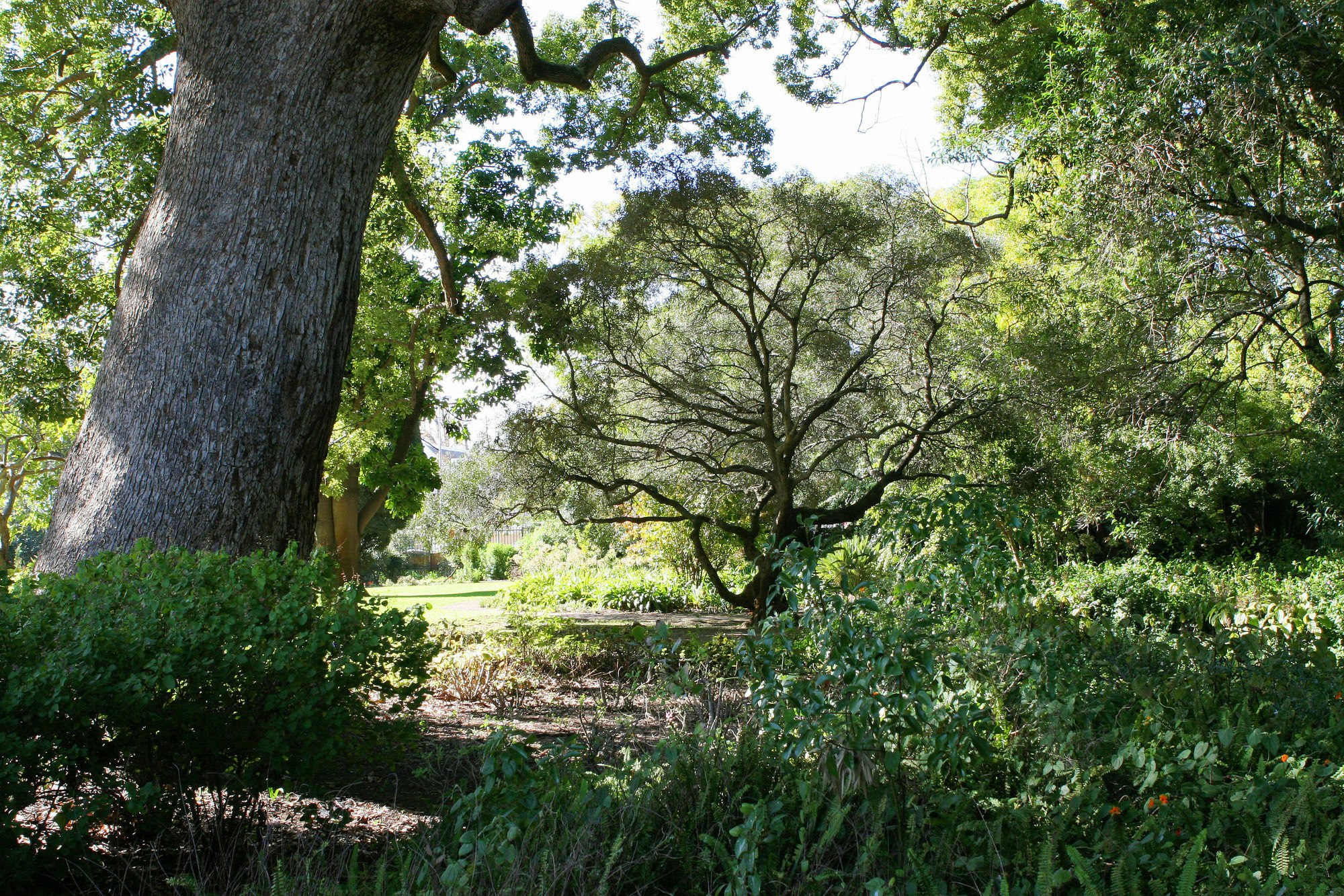 Avemore Wag N Bietjie No 1 Stellenbosch Buitenkant foto